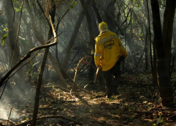 STF cobra União de plano de combate a incêndios diante de risco de Super El Niño