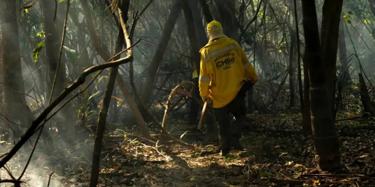 STF cobra União de plano de combate a incêndios diante de risco de Super El Niño