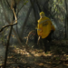 STF cobra União de plano de combate a incêndios diante de risco de Super El Niño