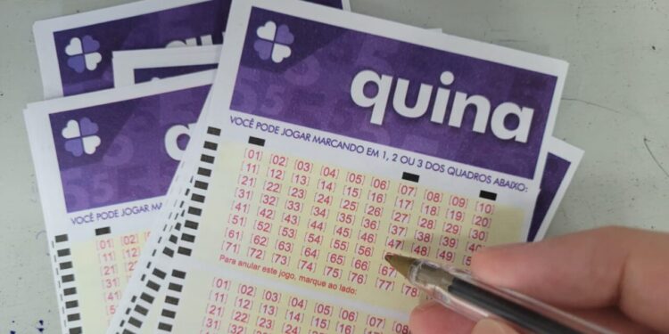 Quina hoje, concurso 7033: Confira o resultado sorteado neste sábado (23)